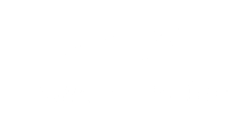 The Ladies Closet